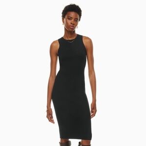 Aritzia Wilfred Moonstruck Dress